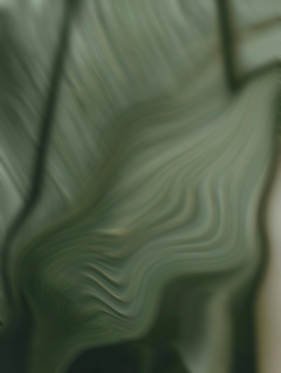 PHOTO 2026 05 19 14 02 11 7