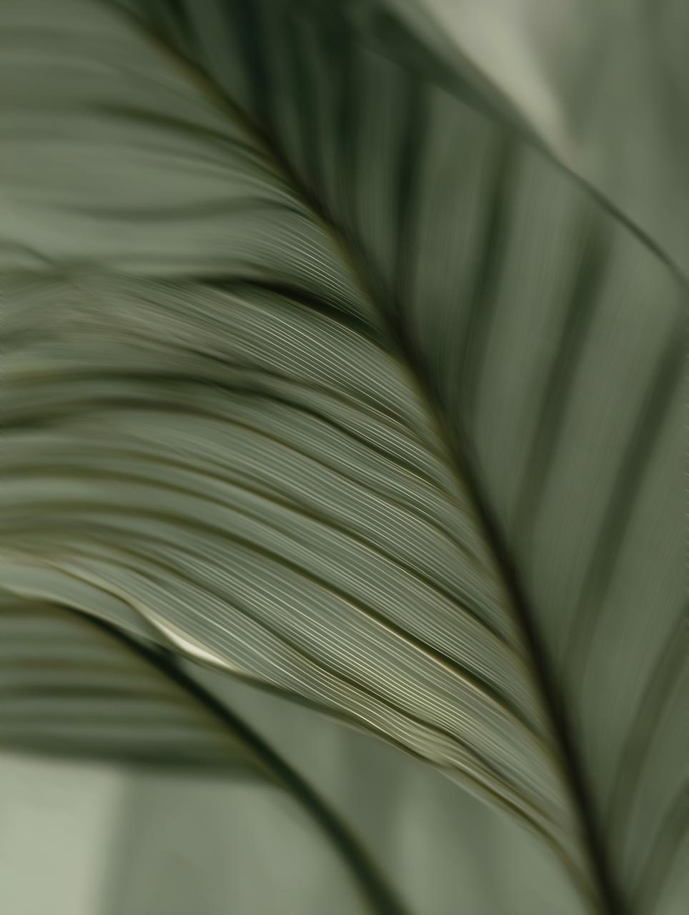 PHOTO 2026 05 19 14 02 11 8